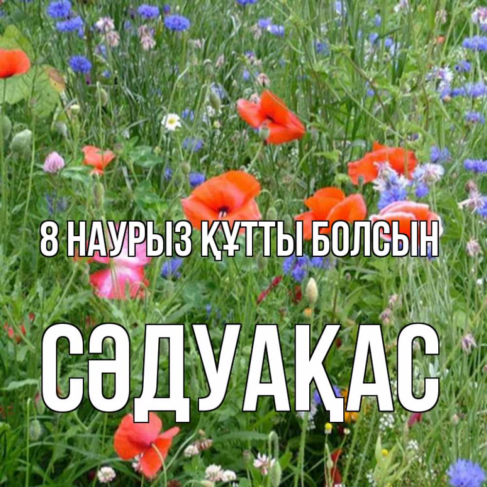 Күн сайын ашық хат с именем, СӘДУАҚАС 8 наурыз құтты болсын международный женский день 4 Онлайн тегін жүктеп алу тілектері бар керемет карта 