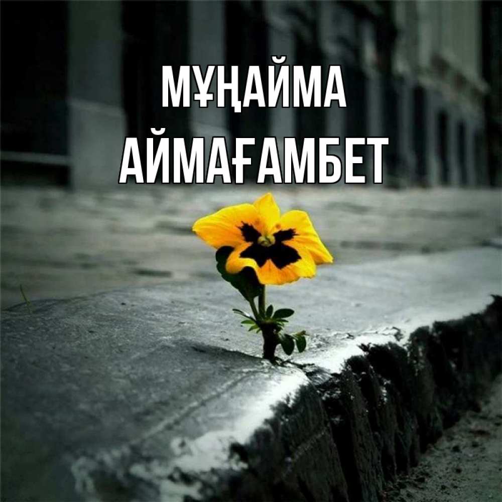 Күн сайын ашық хат с именем, Аймағамбет Мұңайма не сдавайся Онлайн тегін жүктеп алу тілектері бар керемет карта 