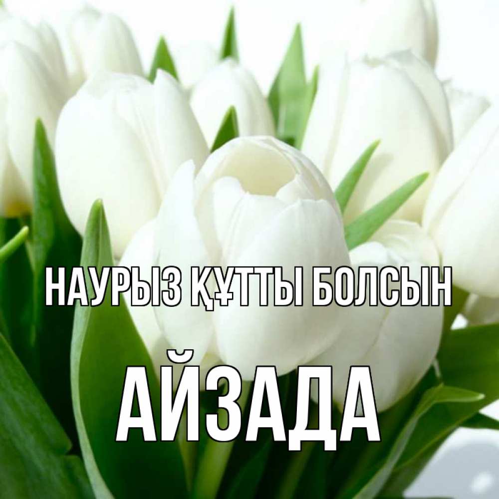 Күн сайын ашық хат с именем, АЙЗАДА Наурыз құтты болсын цветы Онлайн тегін жүктеп алу тілектері бар керемет карта 