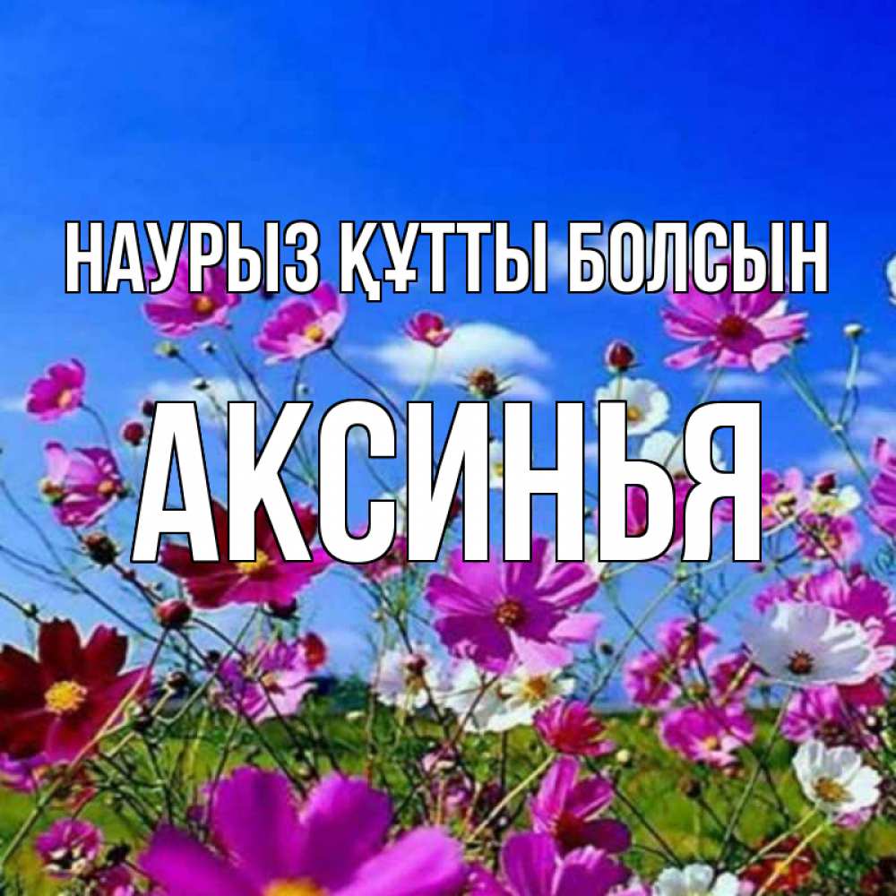 Күн сайын ашық хат с именем, Аксинья Наурыз құтты болсын цветы Онлайн тегін жүктеп алу тілектері бар керемет карта 