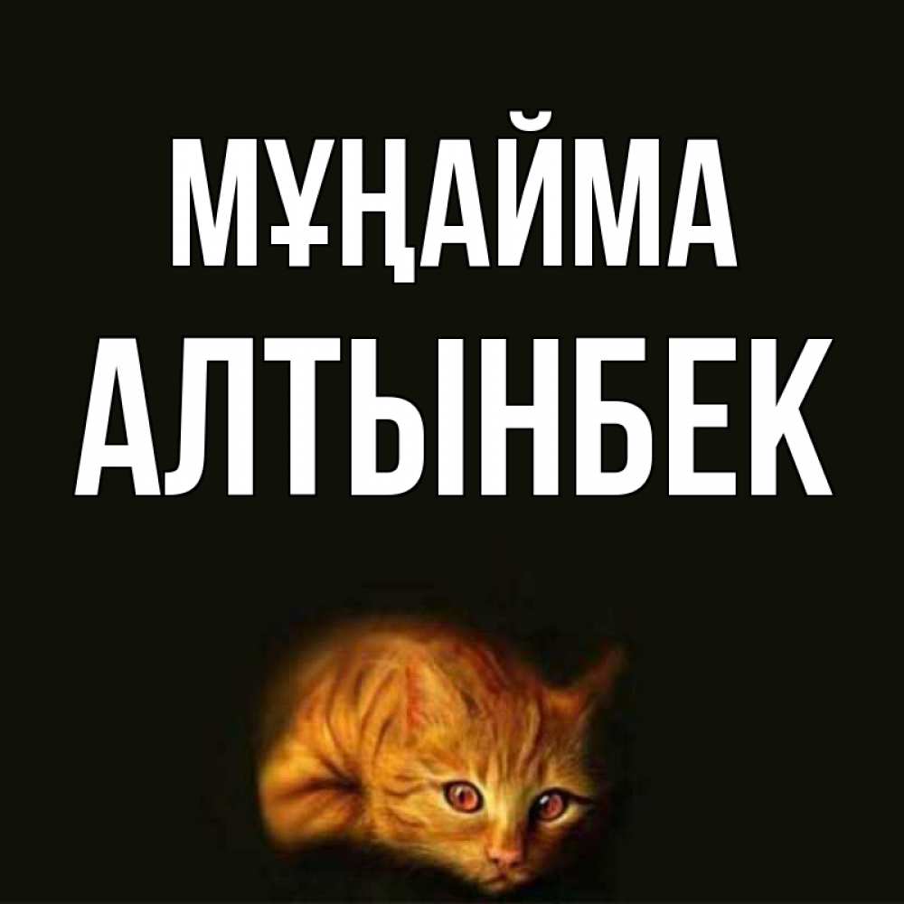 Күн сайын ашық хат с именем, Алтынбек Мұңайма лежащий кот в темноте Онлайн тегін жүктеп алу тілектері бар керемет карта 