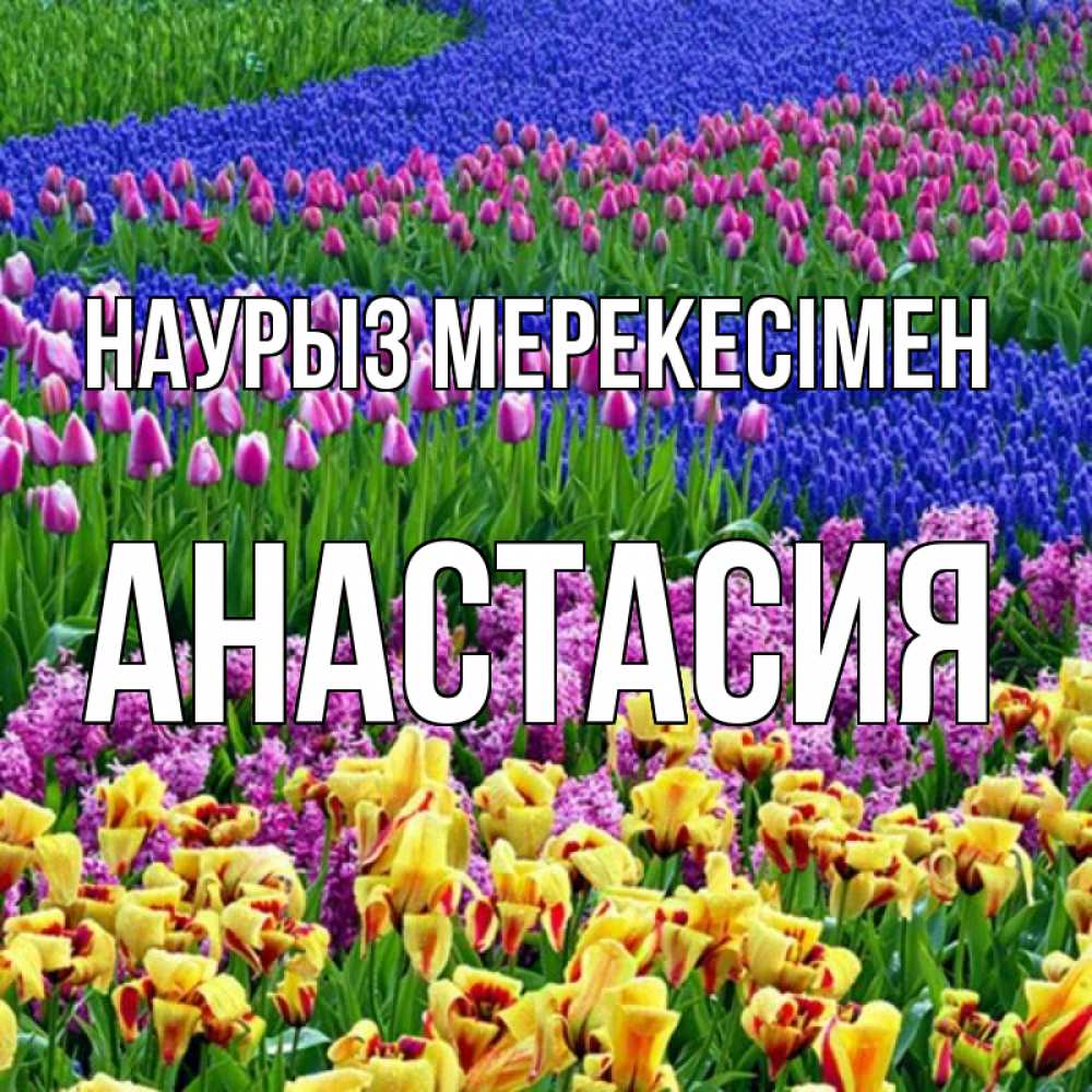 Күн сайын ашық хат с именем, Анастасия Наурыз мерекесімен цветы Онлайн тегін жүктеп алу тілектері бар керемет карта 