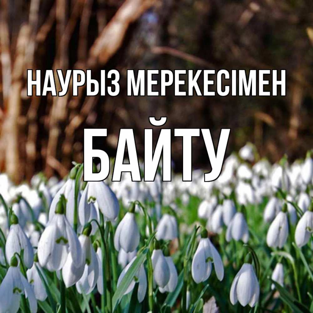 Күн сайын ашық хат с именем, Байту Наурыз мерекесімен с подснежниками 1 Онлайн тегін жүктеп алу тілектері бар керемет карта 