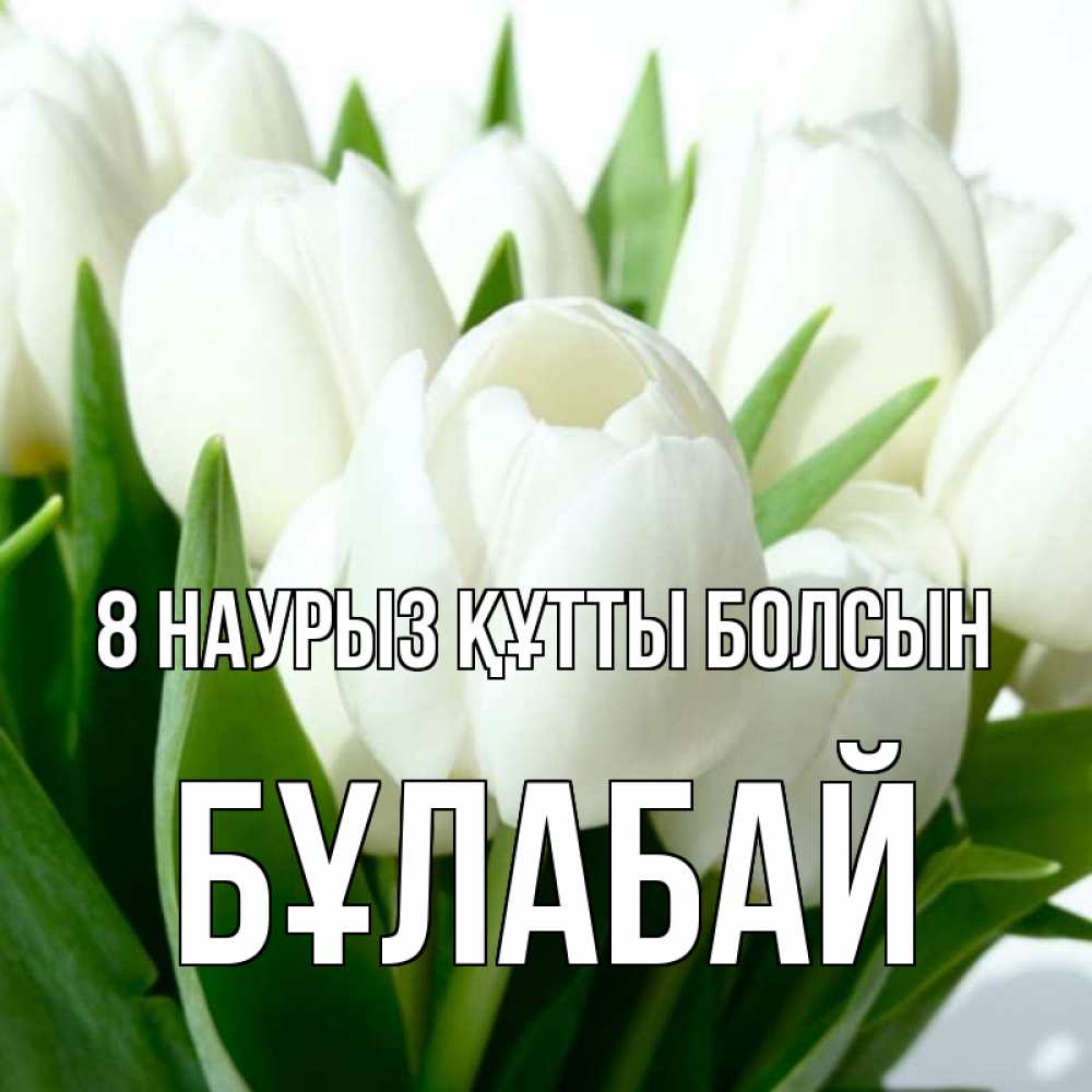 Күн сайын ашық хат с именем, Бұлабай 8 наурыз құтты болсын цветы Онлайн тегін жүктеп алу тілектері бар керемет карта 