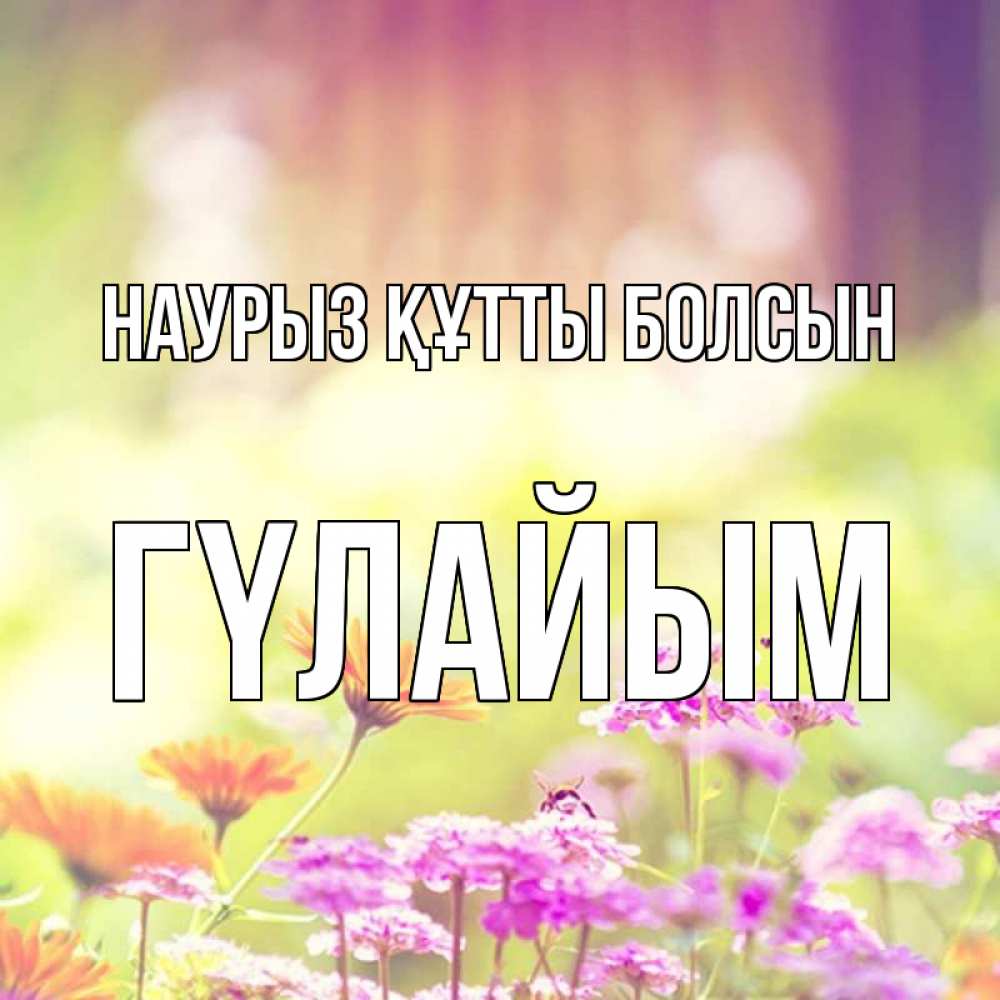 Күн сайын ашық хат с именем, ГҮЛАЙЫМ Наурыз құтты болсын цветы весна Онлайн тегін жүктеп алу тілектері бар керемет карта 