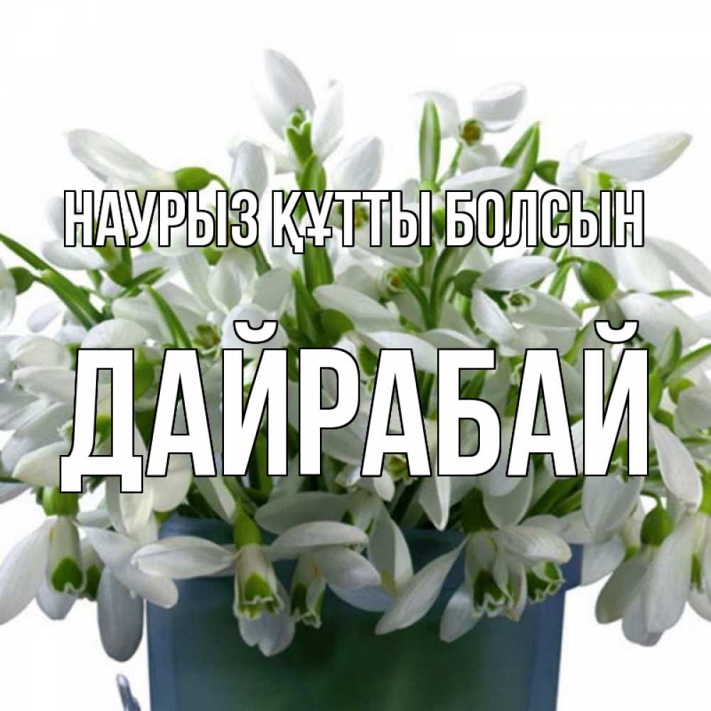 Күн сайын ашық хат с именем, Дайрабай Наурыз құтты болсын цветы к наурызу Онлайн тегін жүктеп алу тілектері бар керемет карта 