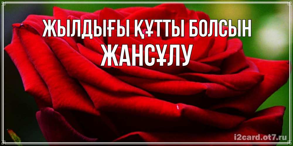 Күн сайын ашық хат с именем, Жансұлу Жылдығы құтты болсын розочка очень красивая Онлайн тегін жүктеп алу тілектері бар керемет карта 