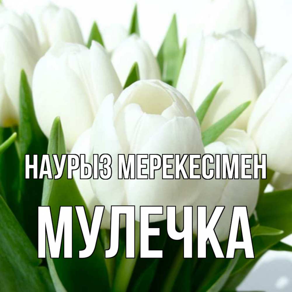Күн сайын ашық хат с именем, Мулечка Наурыз мерекесімен цветы Онлайн тегін жүктеп алу тілектері бар керемет карта 