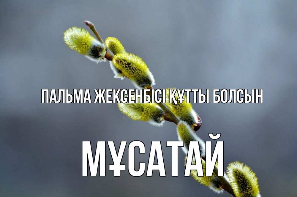 Күн сайын ашық хат с именем, Мұсатай Пальма жексенбісі құтты болсын верба Онлайн тегін жүктеп алу тілектері бар керемет карта 