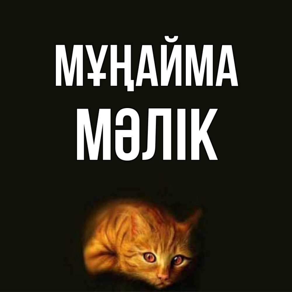 Күн сайын ашық хат с именем, МӘЛІК Мұңайма лежащий кот в темноте Онлайн тегін жүктеп алу тілектері бар керемет карта 
