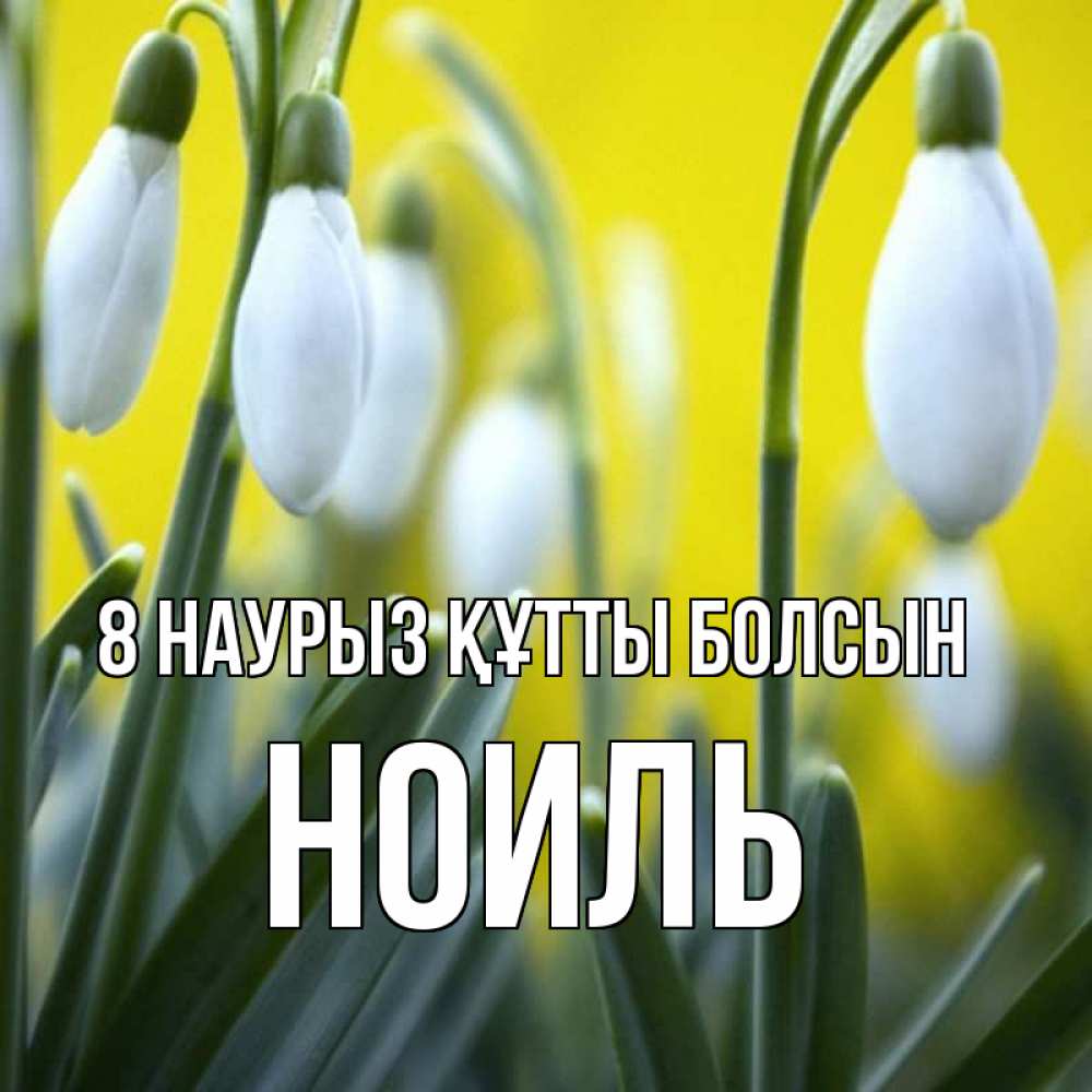Күн сайын ашық хат с именем, НОИЛЬ 8 наурыз құтты болсын весенние цветы Онлайн тегін жүктеп алу тілектері бар керемет карта 