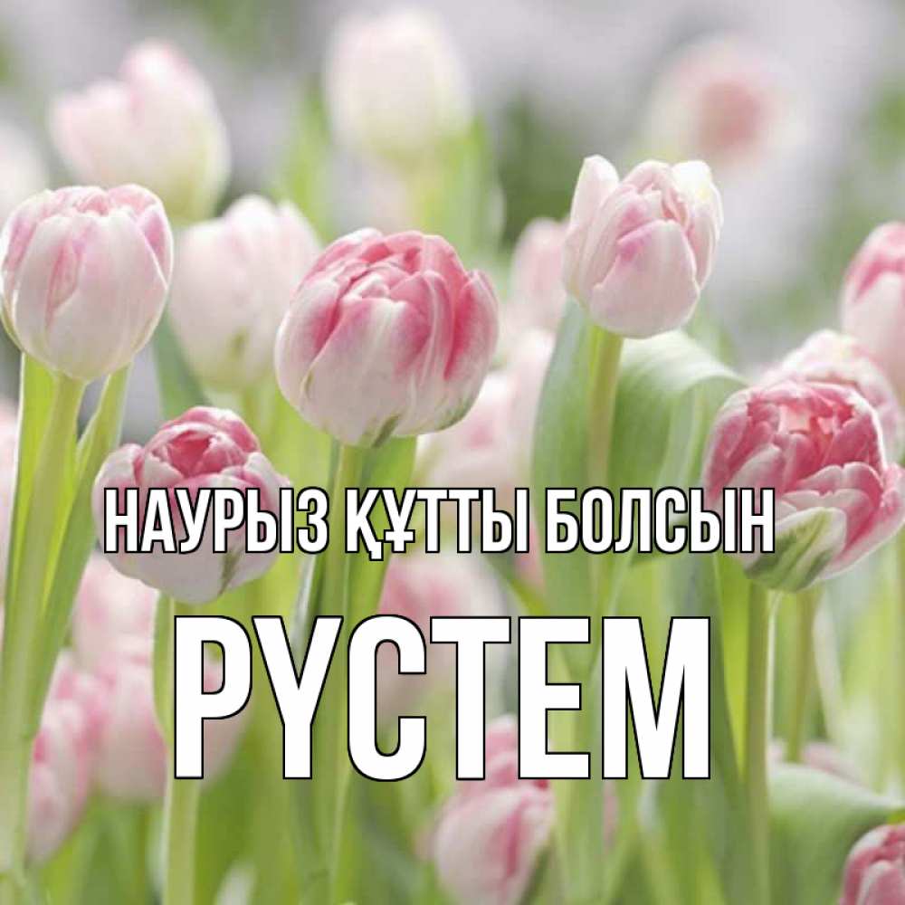 Күн сайын ашық хат с именем, РҮСТЕМ Наурыз құтты болсын цветы Онлайн тегін жүктеп алу тілектері бар керемет карта 
