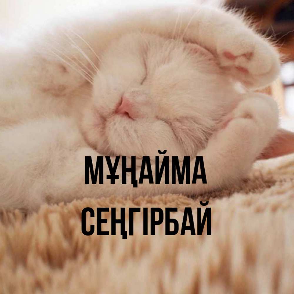 Күн сайын ашық хат с именем, СЕҢГІРБАЙ Мұңайма Котенок спит Онлайн тегін жүктеп алу тілектері бар керемет карта 