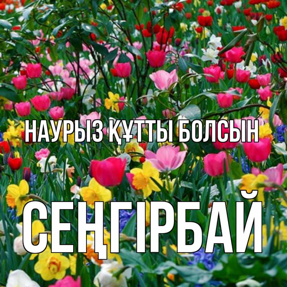 Күн сайын ашық хат с именем, СЕҢГІРБАЙ Наурыз құтты болсын с наурызом поздравления для женщины Онлайн тегін жүктеп алу тілектері бар керемет карта 