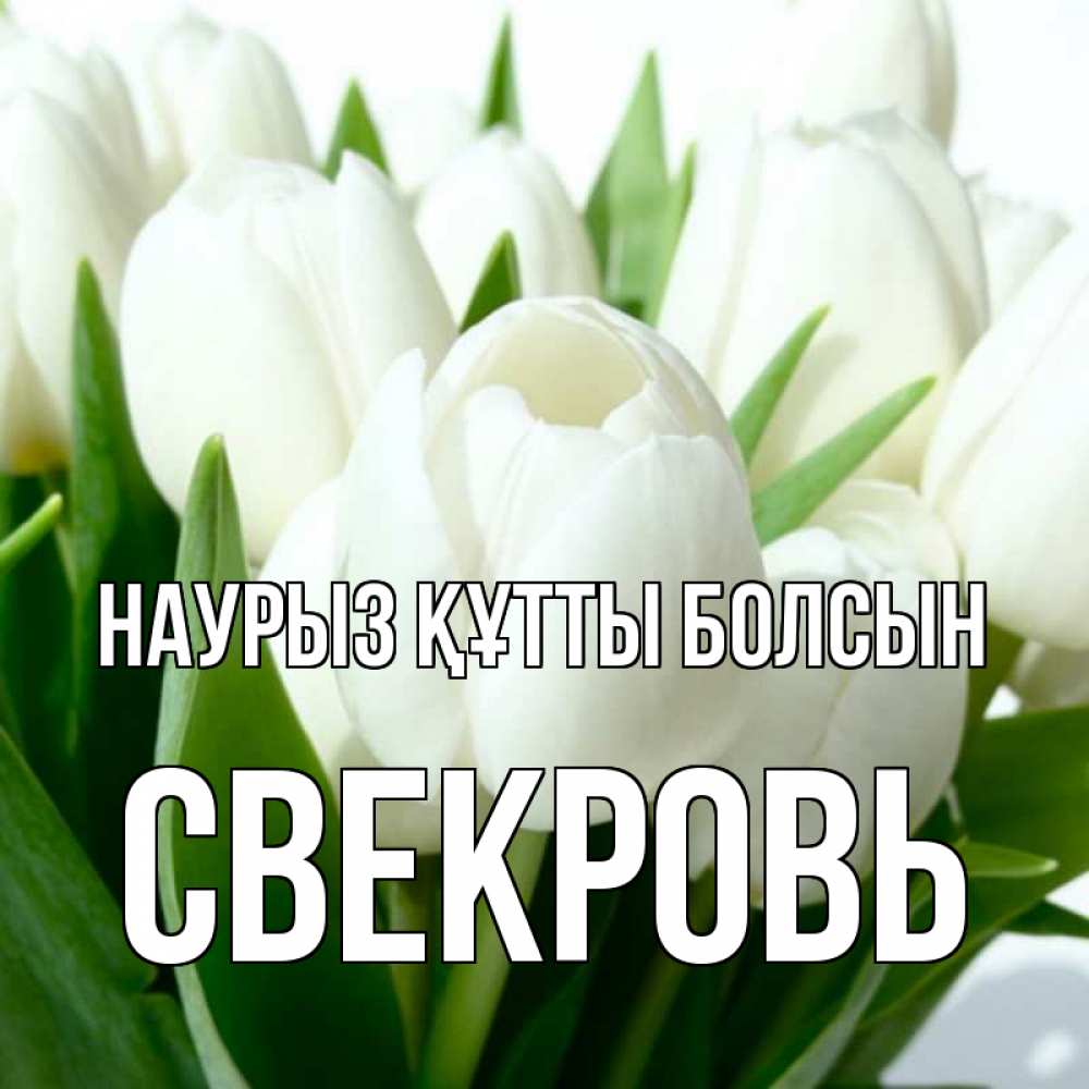 Күн сайын ашық хат с именем, Свекровь Наурыз құтты болсын цветы Онлайн тегін жүктеп алу тілектері бар керемет карта 