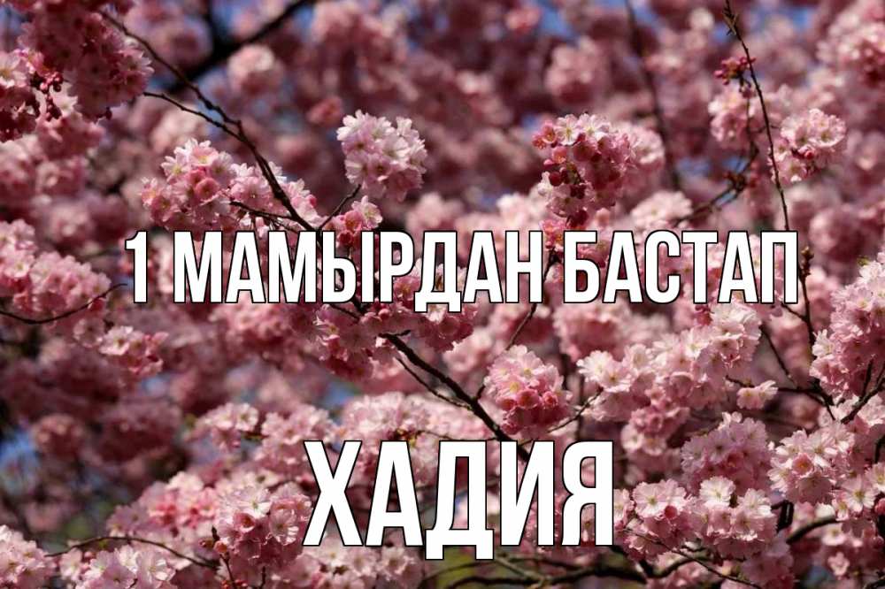 Күн сайын ашық хат с именем, ХАДИЯ 1 мамырдан бастап С 1 мая Онлайн тегін жүктеп алу тілектері бар керемет карта 