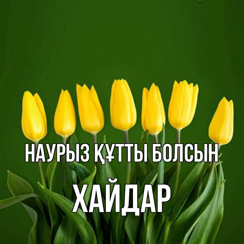 Күн сайын ашық хат с именем, ХАЙДАР Наурыз құтты болсын желтого цвета 3 Онлайн тегін жүктеп алу тілектері бар керемет карта 