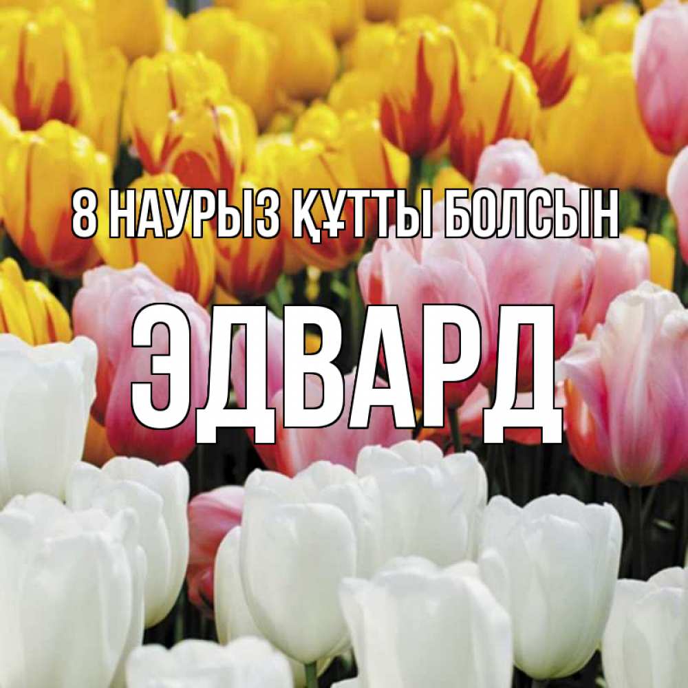 Күн сайын ашық хат с именем, Эдвард 8 наурыз құтты болсын разноцветные цветы Онлайн тегін жүктеп алу тілектері бар керемет карта 