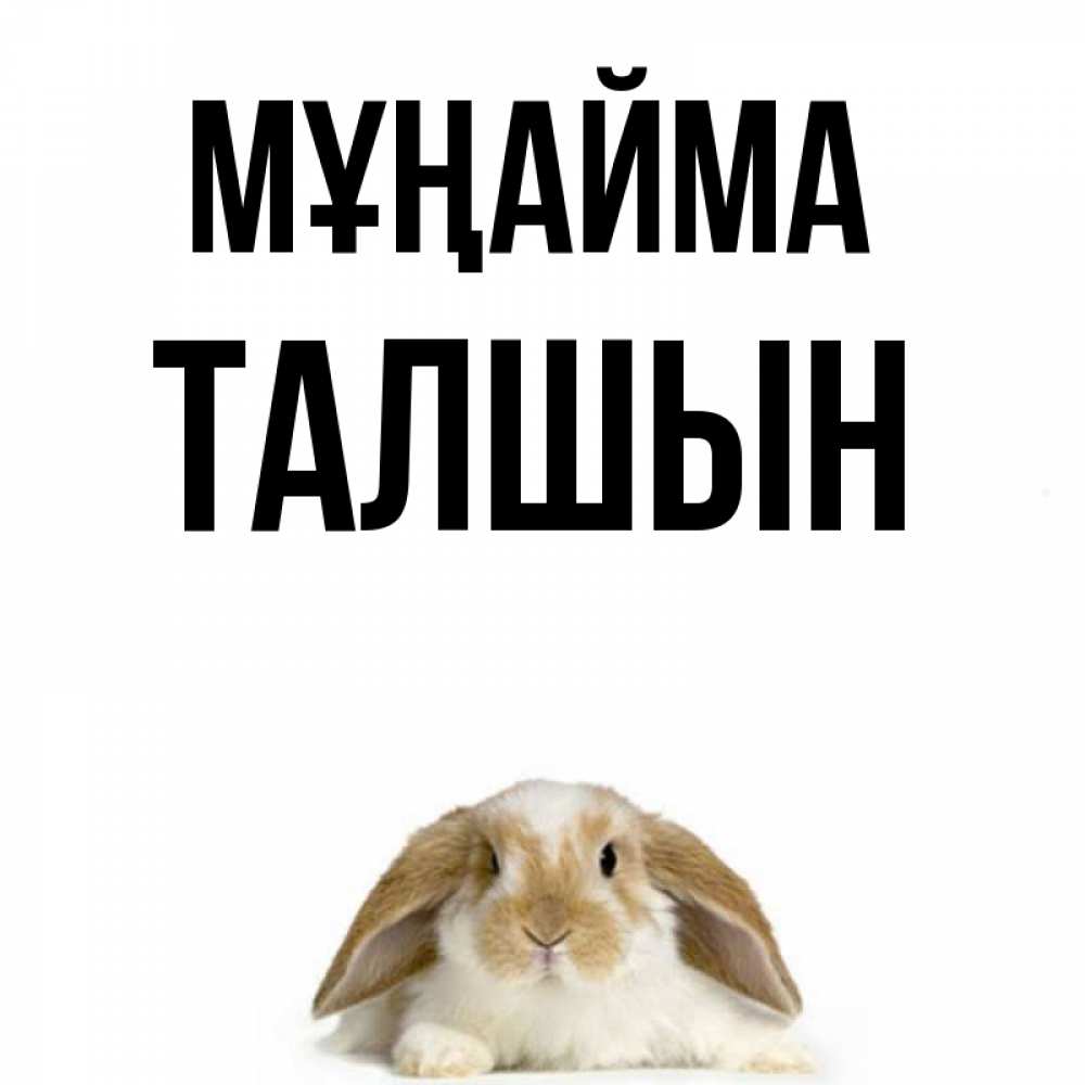 Күн сайын ашық хат с именем, ТАЛШЫН Мұңайма коричнево белый заяц с большими ушками Онлайн тегін жүктеп алу тілектері бар керемет карта 