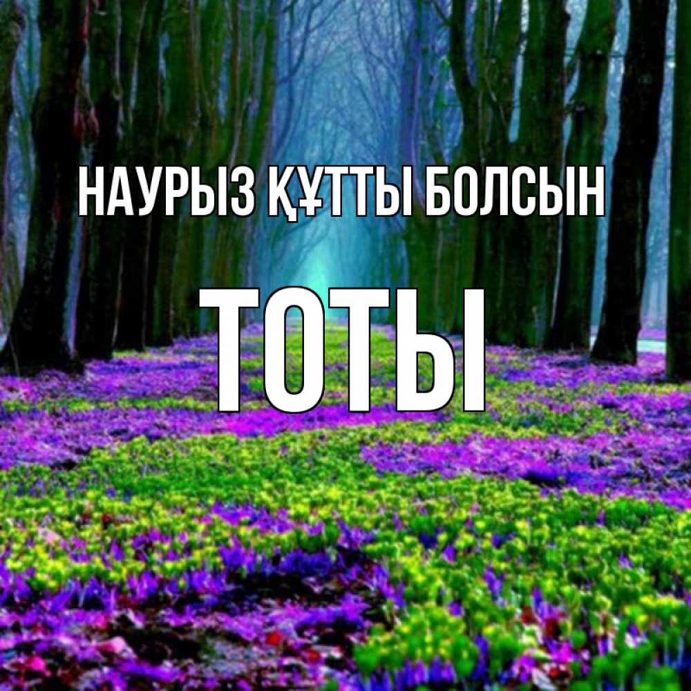 Күн сайын ашық хат с именем, ТОТЫ Наурыз құтты болсын фиолетовые цветы в лесу 1 Онлайн тегін жүктеп алу тілектері бар керемет карта 