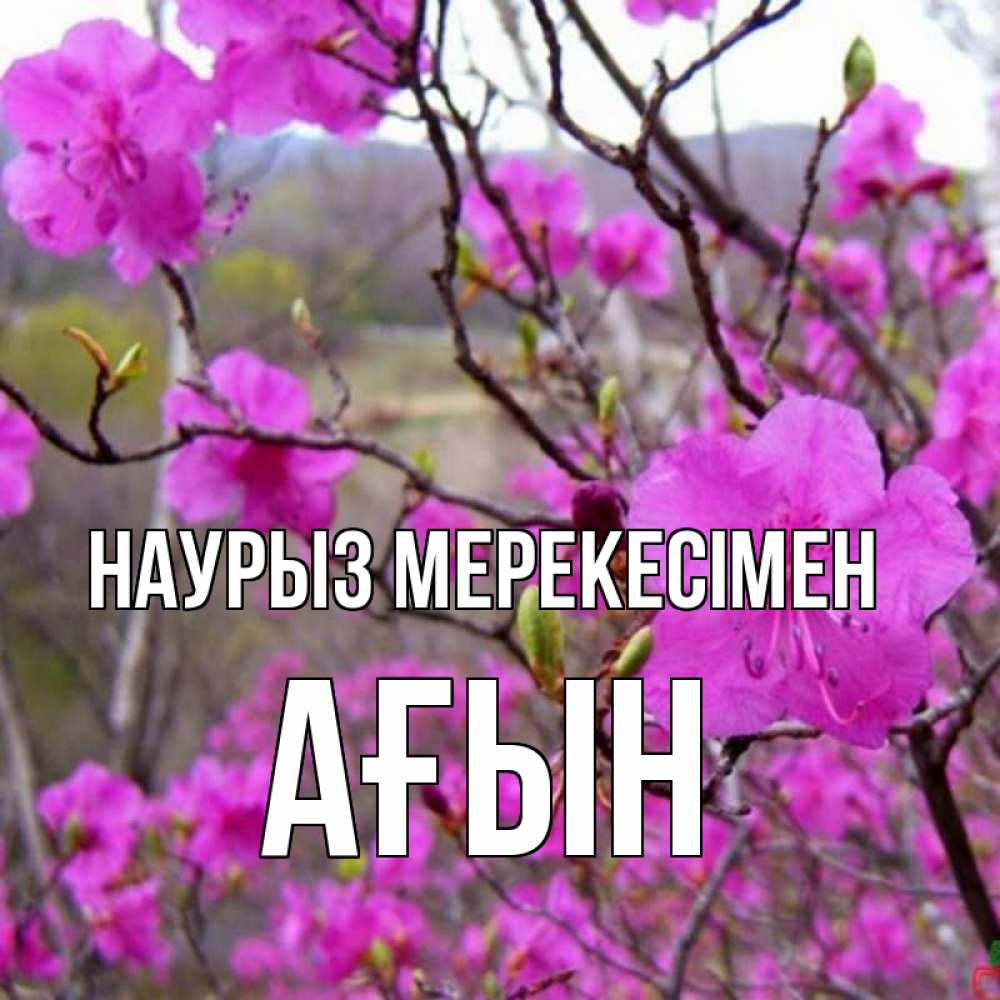 Күн сайын ашық хат с именем, Ағын Наурыз мерекесімен праздник весны наурыз Онлайн тегін жүктеп алу тілектері бар керемет карта 