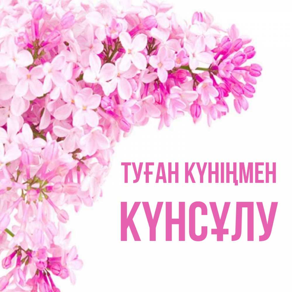 Күн сайын ашық хат с именем, КҮНСҰЛУ Туған күніңмен Сирень на белом фоне Онлайн тегін жүктеп алу тілектері бар керемет карта 