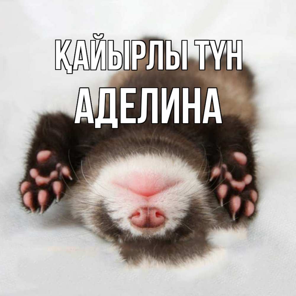 Күн сайын ашық хат с именем, Аделина Қайырлы түн зверек Онлайн тегін жүктеп алу тілектері бар керемет карта 