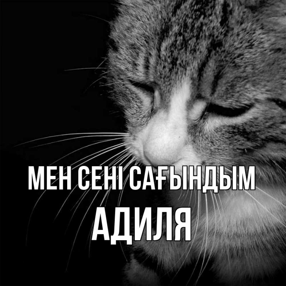 Күн сайын ашық хат с именем, Адиля Мен сені сағындым мне скучно Онлайн тегін жүктеп алу тілектері бар керемет карта 