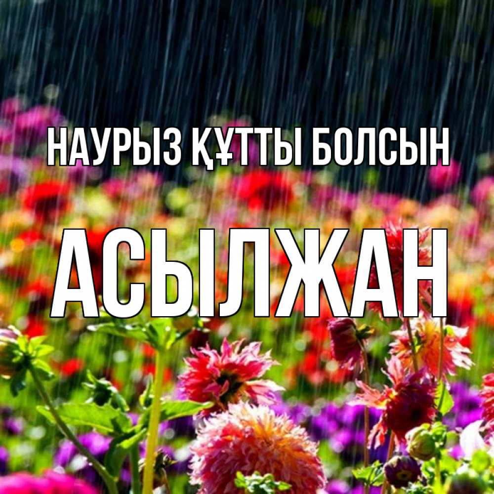 Күн сайын ашық хат с именем, Асылжан Наурыз құтты болсын цветы под дождиком к наурызу Онлайн тегін жүктеп алу тілектері бар керемет карта 