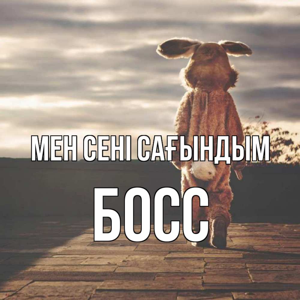 Күн сайын ашық хат с именем, Босс Мен сені сағындым даже в костюме зайца Онлайн тегін жүктеп алу тілектері бар керемет карта 