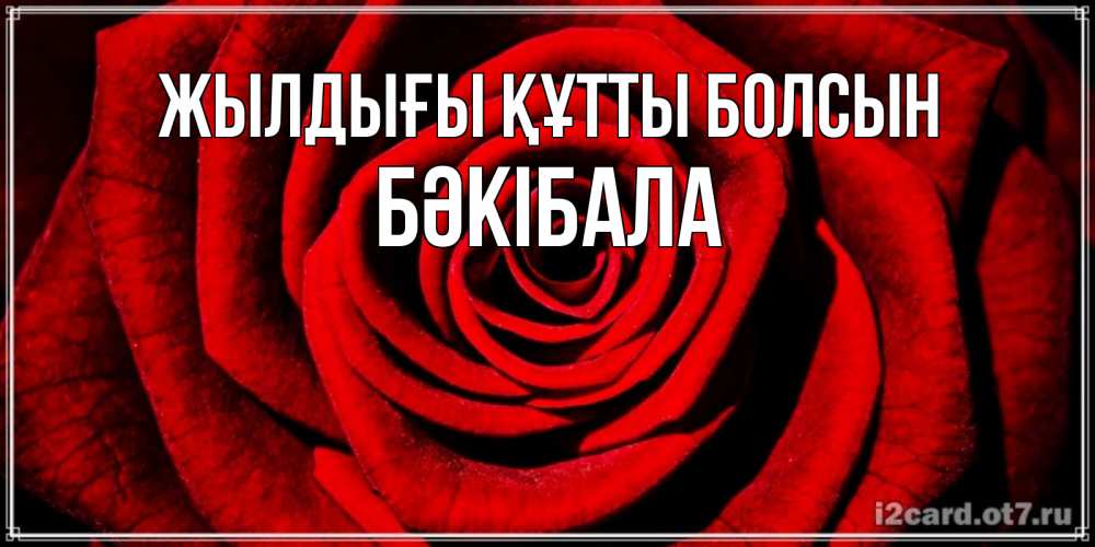 Күн сайын ашық хат с именем, БӘКІБАЛА Жылдығы құтты болсын алая роза Онлайн тегін жүктеп алу тілектері бар керемет карта 