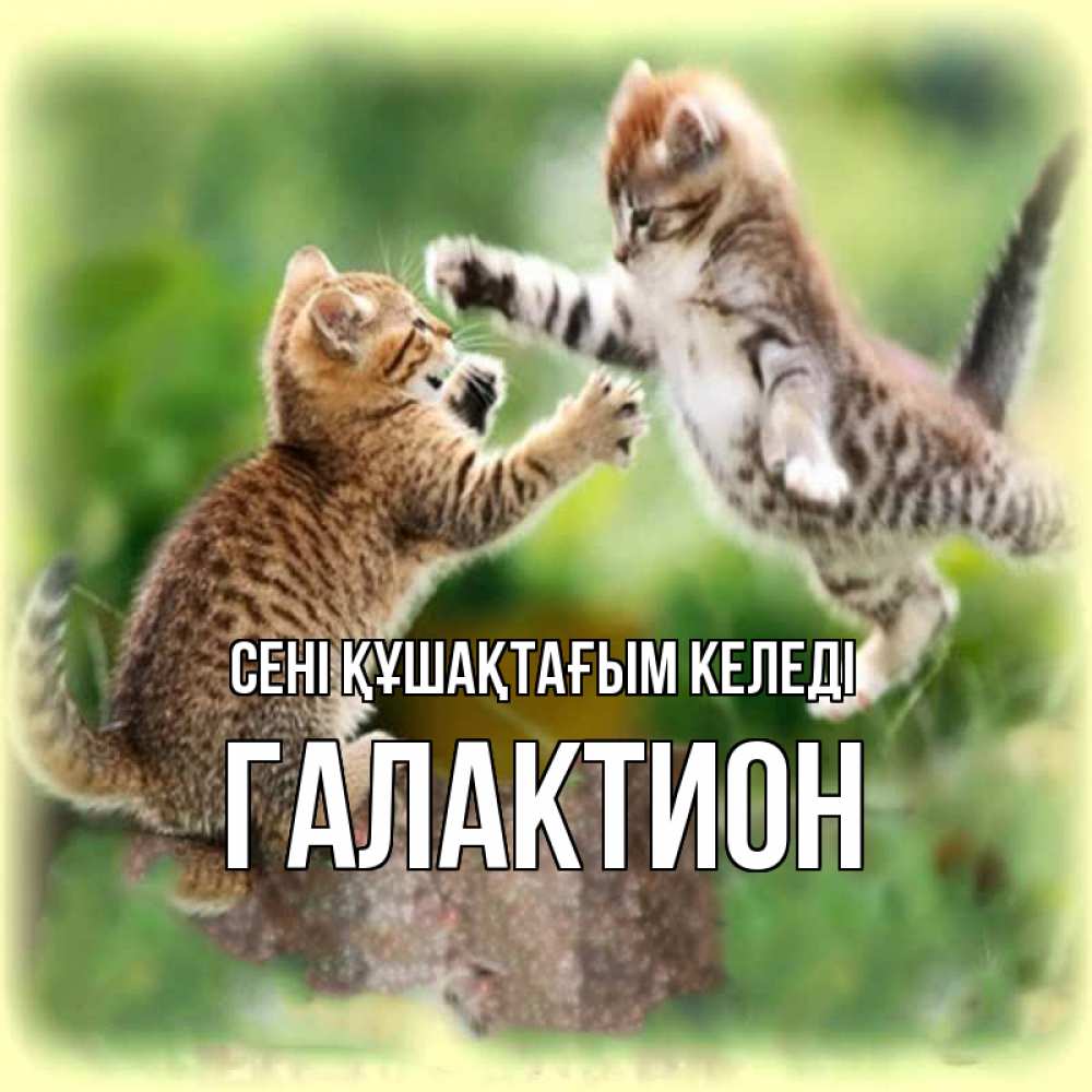 Күн сайын ашық хат с именем, Галактион сені құшақтағым келеді игры котят Онлайн тегін жүктеп алу тілектері бар керемет карта 