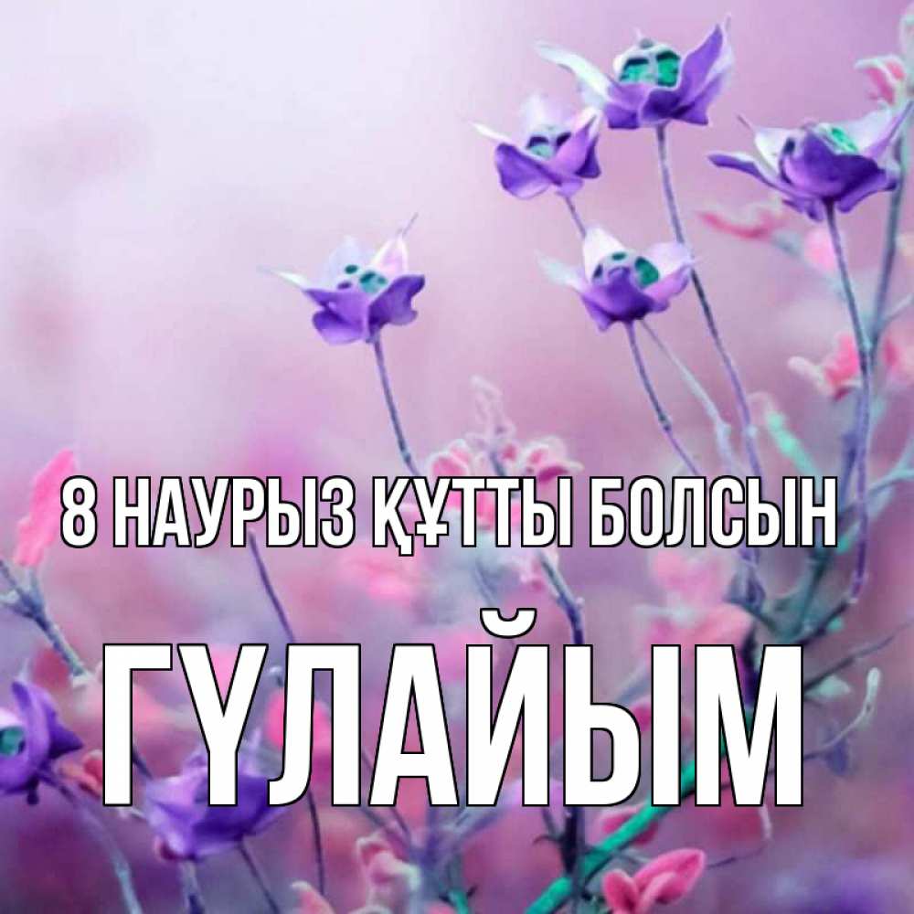 Күн сайын ашық хат с именем, ГҮЛАЙЫМ 8 наурыз құтты болсын международный женский день 2 Онлайн тегін жүктеп алу тілектері бар керемет карта 
