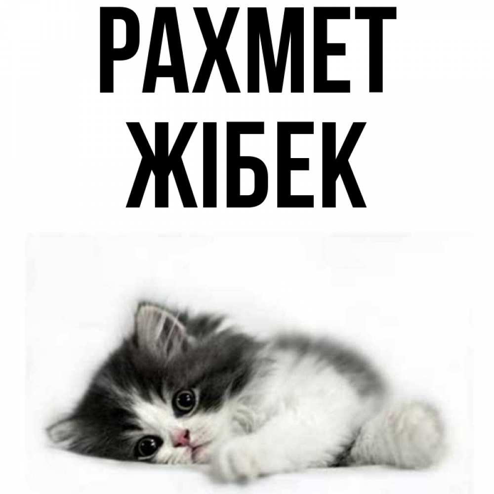 Күн сайын ашық хат с именем, ЖІБЕК рахмет черный и белый кот Онлайн тегін жүктеп алу тілектері бар керемет карта 