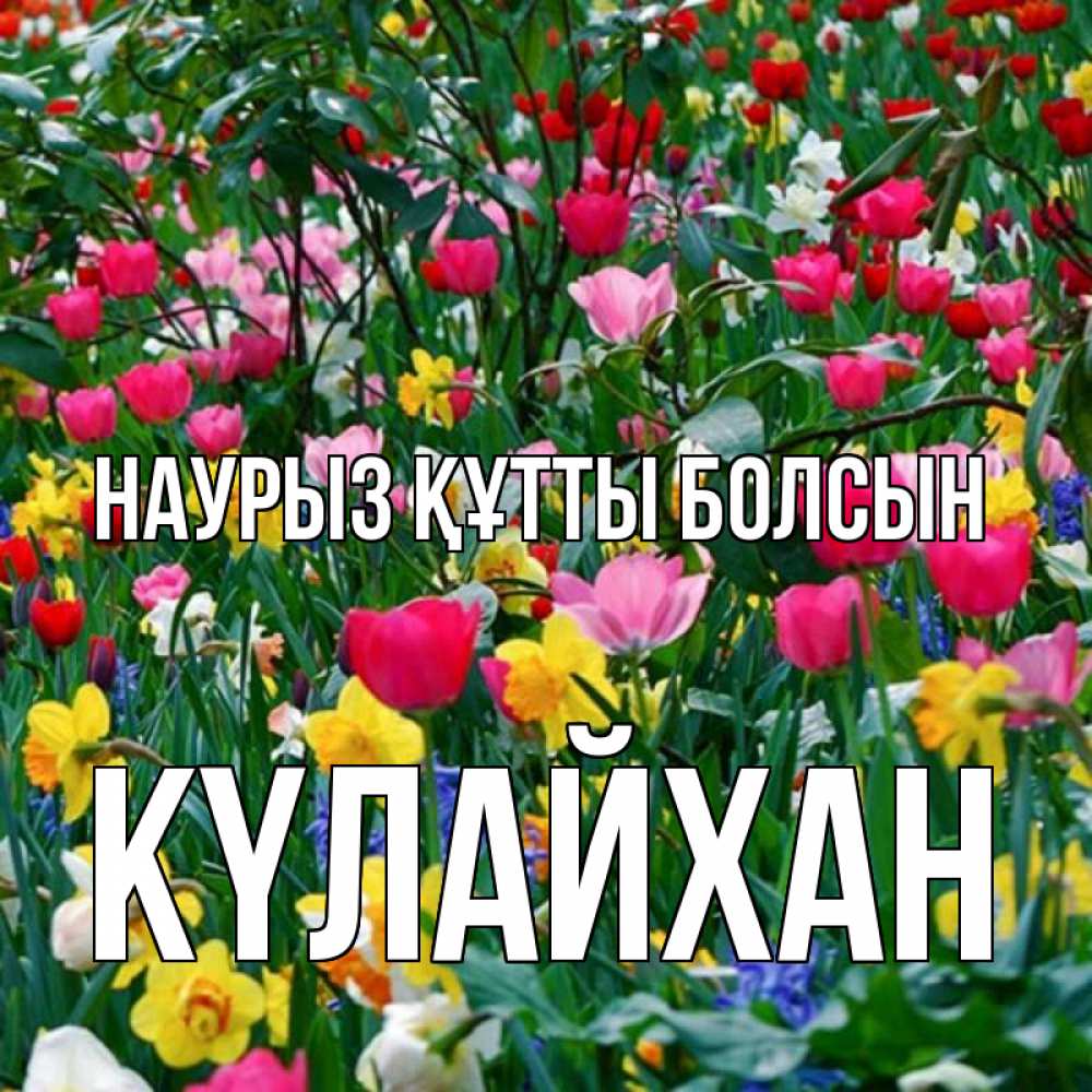 Күн сайын ашық хат с именем, КҮЛАЙХАН Наурыз құтты болсын с наурызом поздравления для женщины Онлайн тегін жүктеп алу тілектері бар керемет карта 