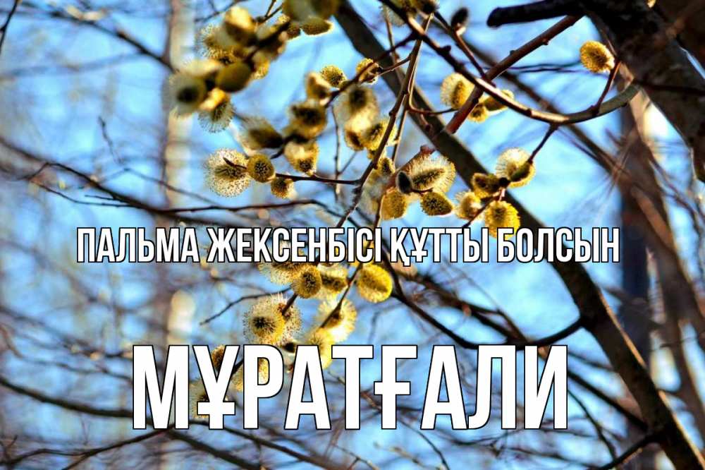 Күн сайын ашық хат с именем, Мұратғали Пальма жексенбісі құтты болсын верба Онлайн тегін жүктеп алу тілектері бар керемет карта 