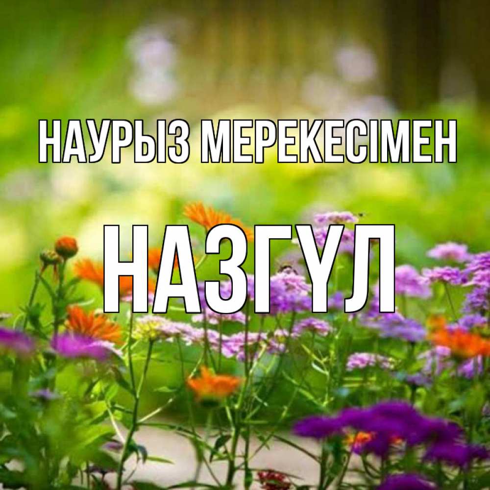 Күн сайын ашық хат с именем, НАЗГҮЛ Наурыз мерекесімен цветы Онлайн тегін жүктеп алу тілектері бар керемет карта 
