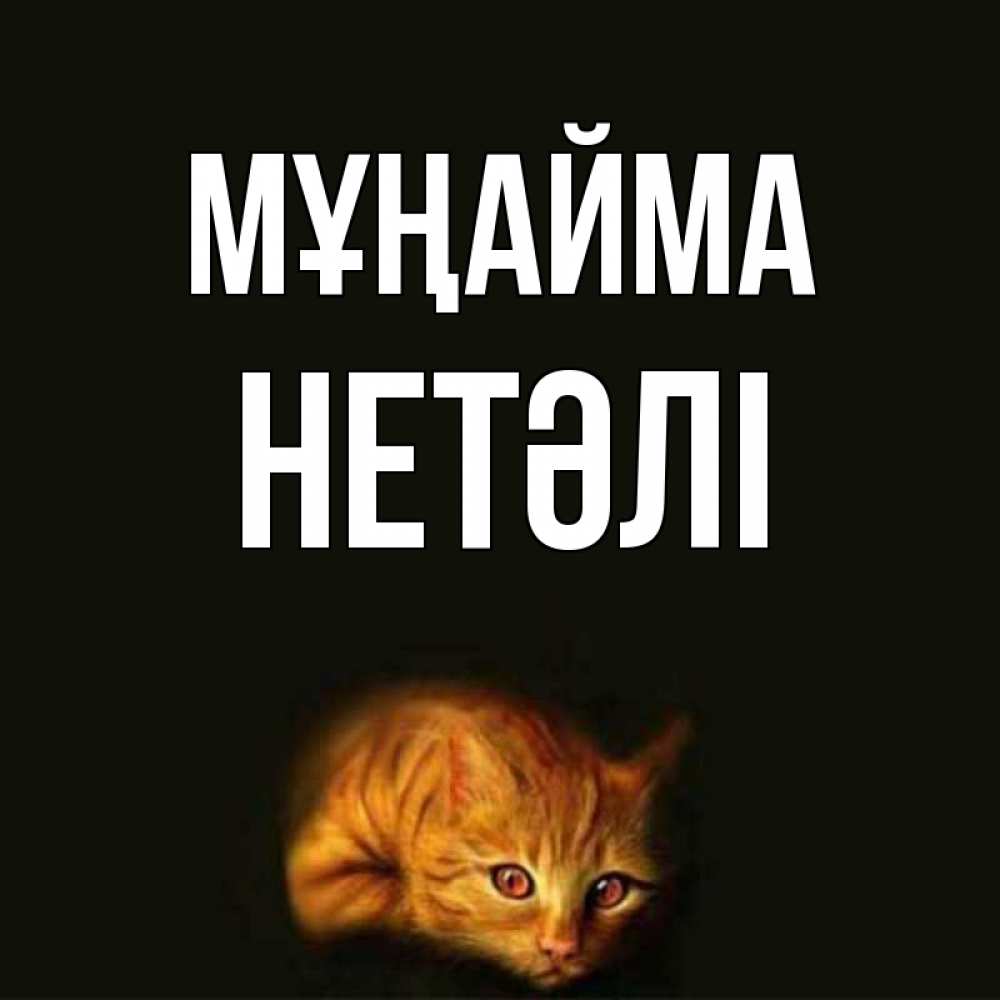 Күн сайын ашық хат с именем, НЕТӘЛІ Мұңайма лежащий кот в темноте Онлайн тегін жүктеп алу тілектері бар керемет карта 