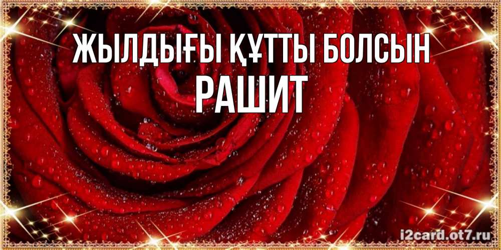 Күн сайын ашық хат с именем, РАШИТ Жылдығы құтты болсын роса на розе блестящая в лучах солнца Онлайн тегін жүктеп алу тілектері бар керемет карта 