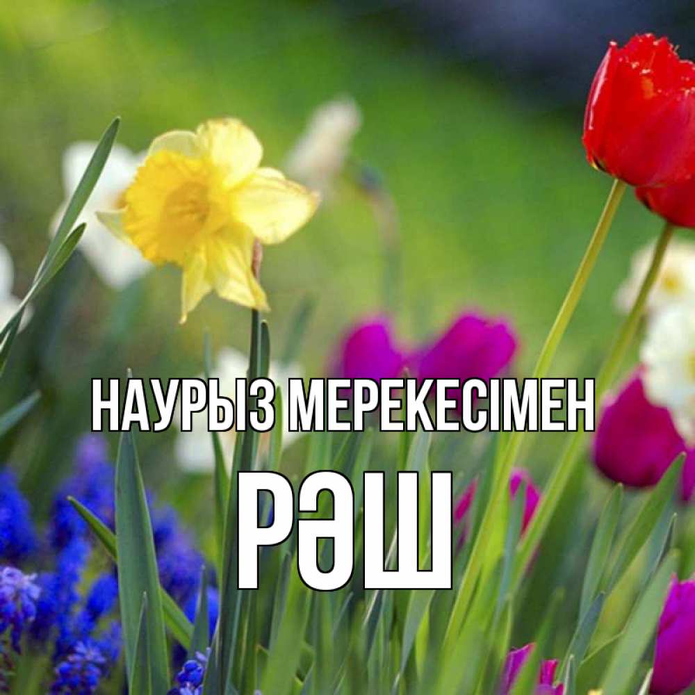 Күн сайын ашық хат с именем, РӘШ Наурыз мерекесімен праздник весны наурыз 3 Онлайн тегін жүктеп алу тілектері бар керемет карта 