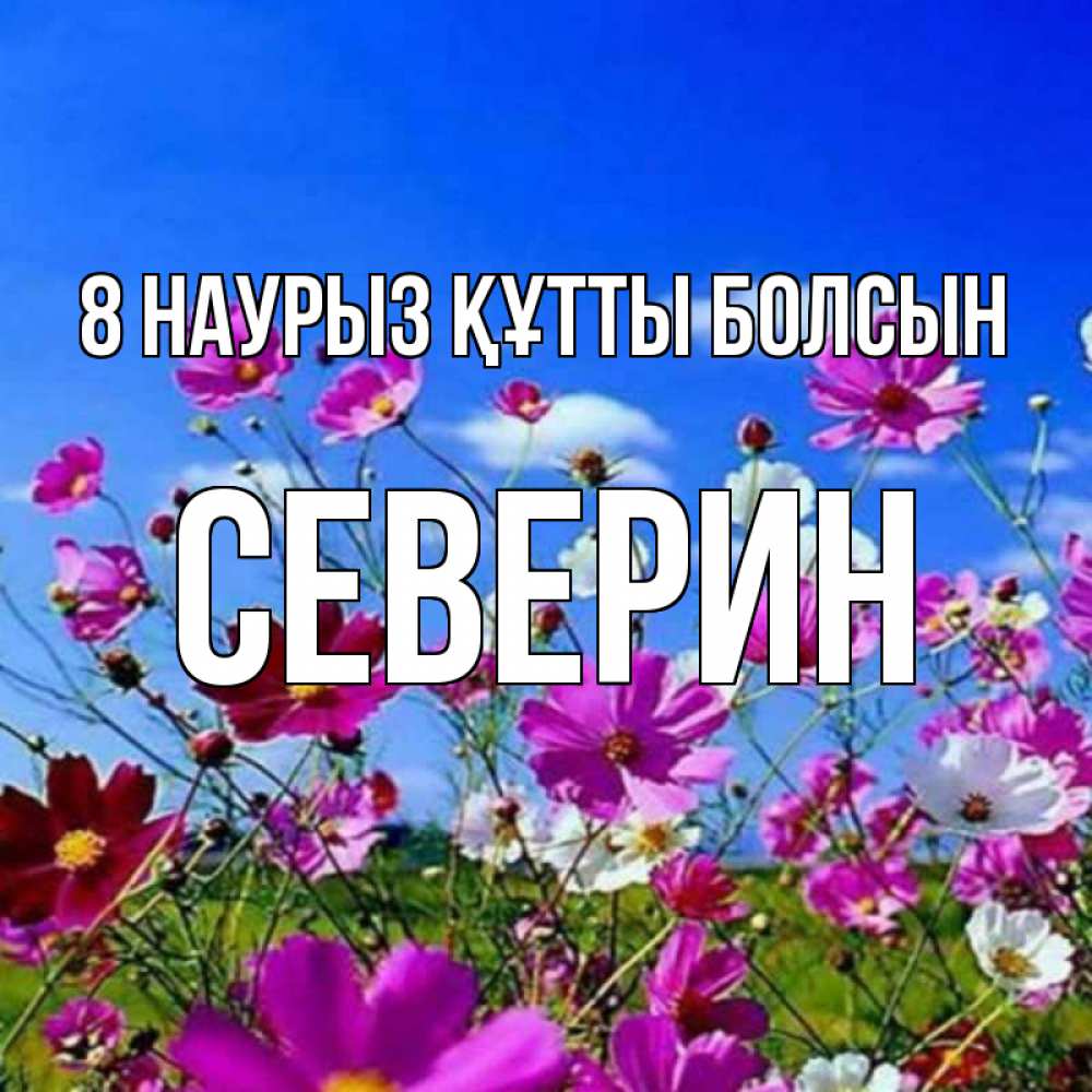 Күн сайын ашық хат с именем, Северин 8 наурыз құтты болсын цветы Онлайн тегін жүктеп алу тілектері бар керемет карта 
