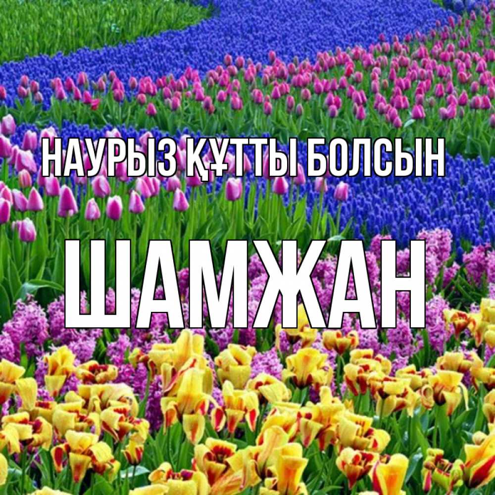 Күн сайын ашық хат с именем, ШАМЖАН Наурыз құтты болсын цветы Онлайн тегін жүктеп алу тілектері бар керемет карта 