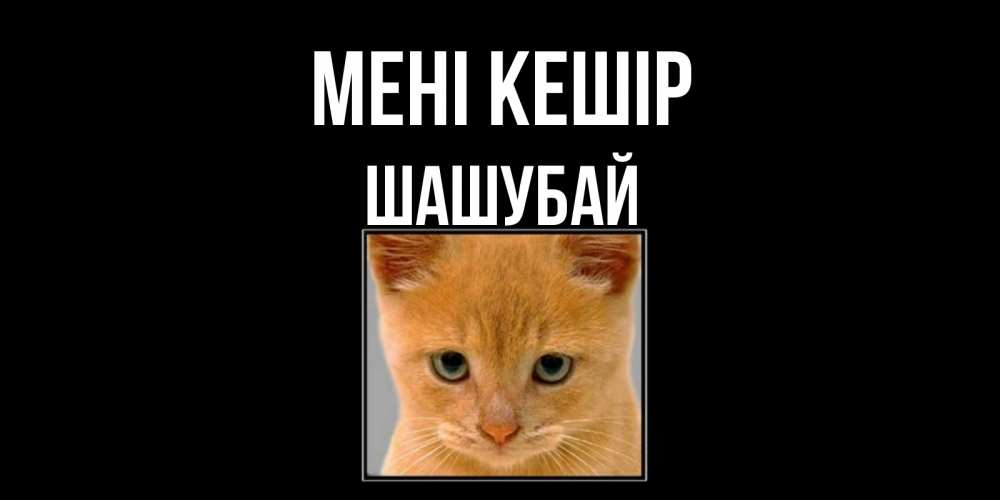 Күн сайын ашық хат с именем, ШАШУБАЙ Мені кешір рыжий грустный кот просит прощения Онлайн тегін жүктеп алу тілектері бар керемет карта 