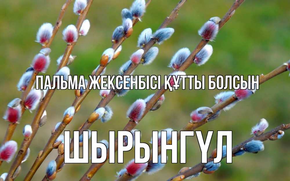Күн сайын ашық хат с именем, ШЫРЫНГҮЛ Пальма жексенбісі құтты болсын верба Онлайн тегін жүктеп алу тілектері бар керемет карта 