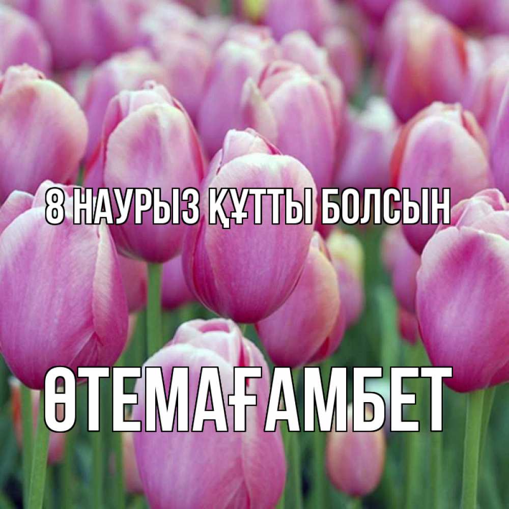 Күн сайын ашық хат с именем, ӨТЕМАҒАМБЕТ 8 наурыз құтты болсын на международный женский день 3 Онлайн тегін жүктеп алу тілектері бар керемет карта 