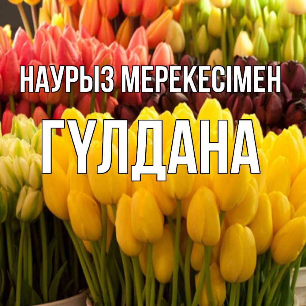 Күн сайын ашық хат с именем, ГҮЛДАНА Наурыз мерекесімен цветы Онлайн тегін жүктеп алу тілектері бар керемет карта 