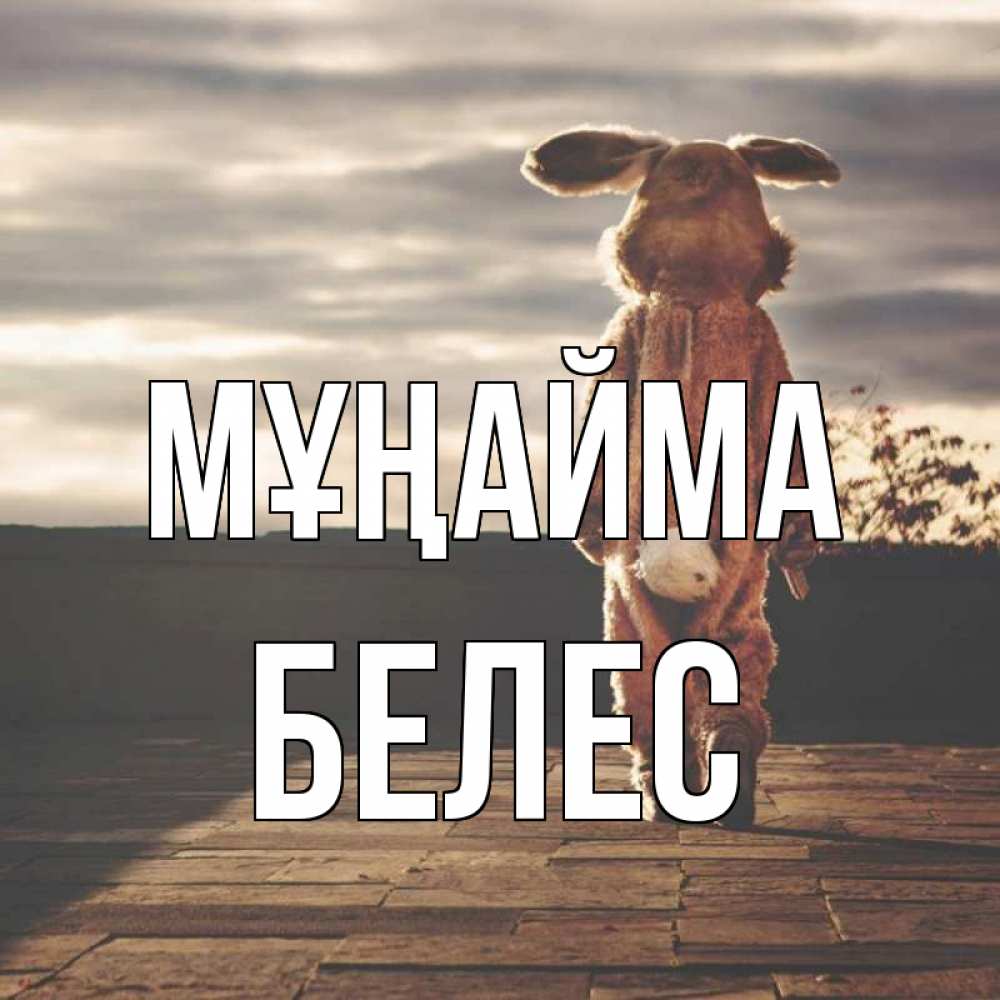 Күн сайын ашық хат с именем, Белес Мұңайма со спины Онлайн тегін жүктеп алу тілектері бар керемет карта 