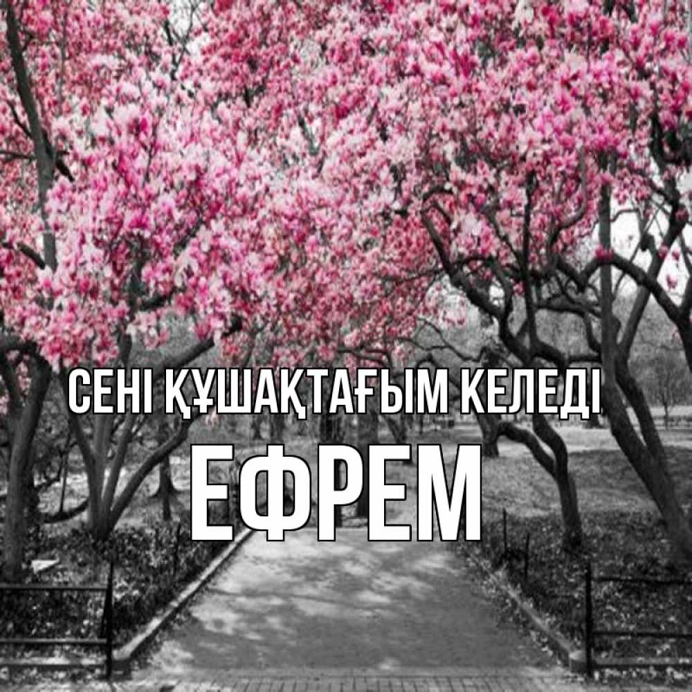 Күн сайын ашық хат с именем, Ефрем сені құшақтағым келеді обработанное фото Онлайн тегін жүктеп алу тілектері бар керемет карта 