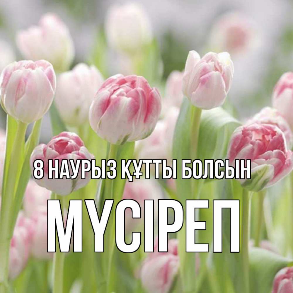 Күн сайын ашық хат с именем, МҮСІРЕП 8 наурыз құтты болсын цветы Онлайн тегін жүктеп алу тілектері бар керемет карта 