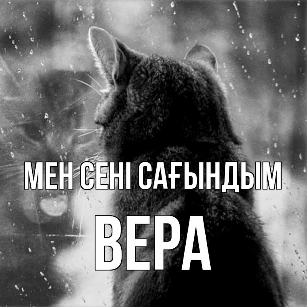 Күн сайын ашық хат с именем, Вера Мен сені сағындым скорее ко мне приходи 1 Онлайн тегін жүктеп алу тілектері бар керемет карта 